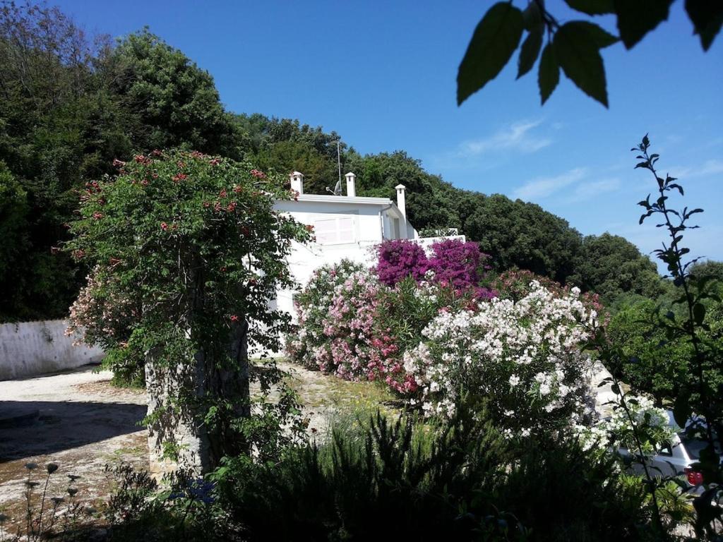 Giulia - In With Sea View Holiday home *