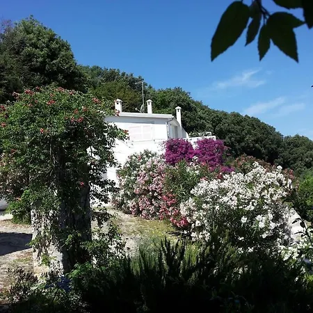 Villa Giulia - Apartment In Villa With Sea View Rodi Garganico Exterior photo