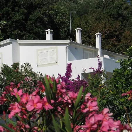 Villa Giulia - Apartment In Villa With Sea View Rodi Garganico Exterior photo
